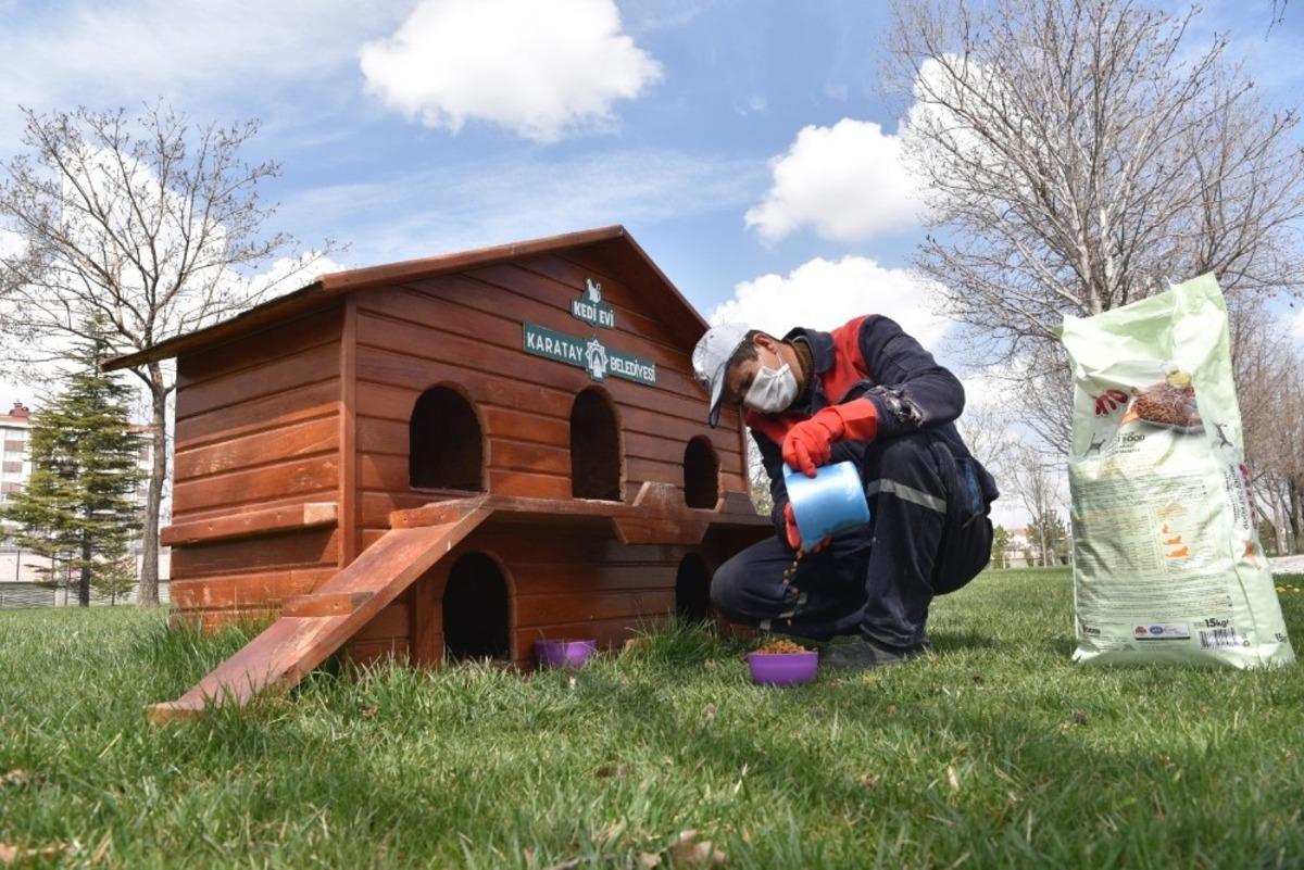 Karatay&rsquo;da sokak hayvanları unutulmuyor