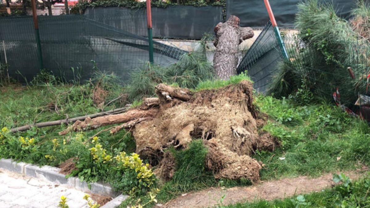 Turuncu alarm verilmişti! Marmara b&ouml;lgesinde şiddetli fırtına