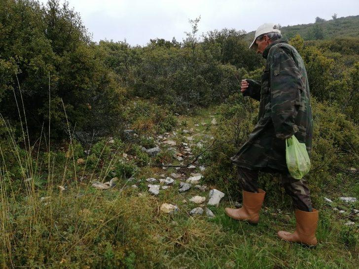 Kuzu göbeği bulmak için dağ, bayır arıyorlar G1