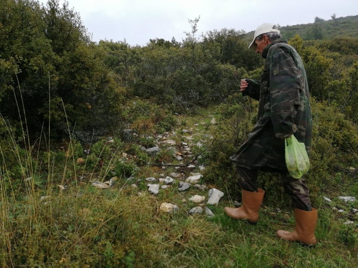 Kuzu g&ouml;beği bulmak i&ccedil;in dağ, bayır arıyorlar