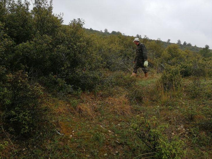 Kuzu göbeği bulmak için dağ, bayır arıyorlar G2