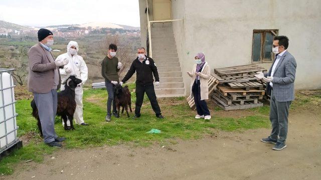 Sağlık çalışanları Korona virüs defi için kurban kesti