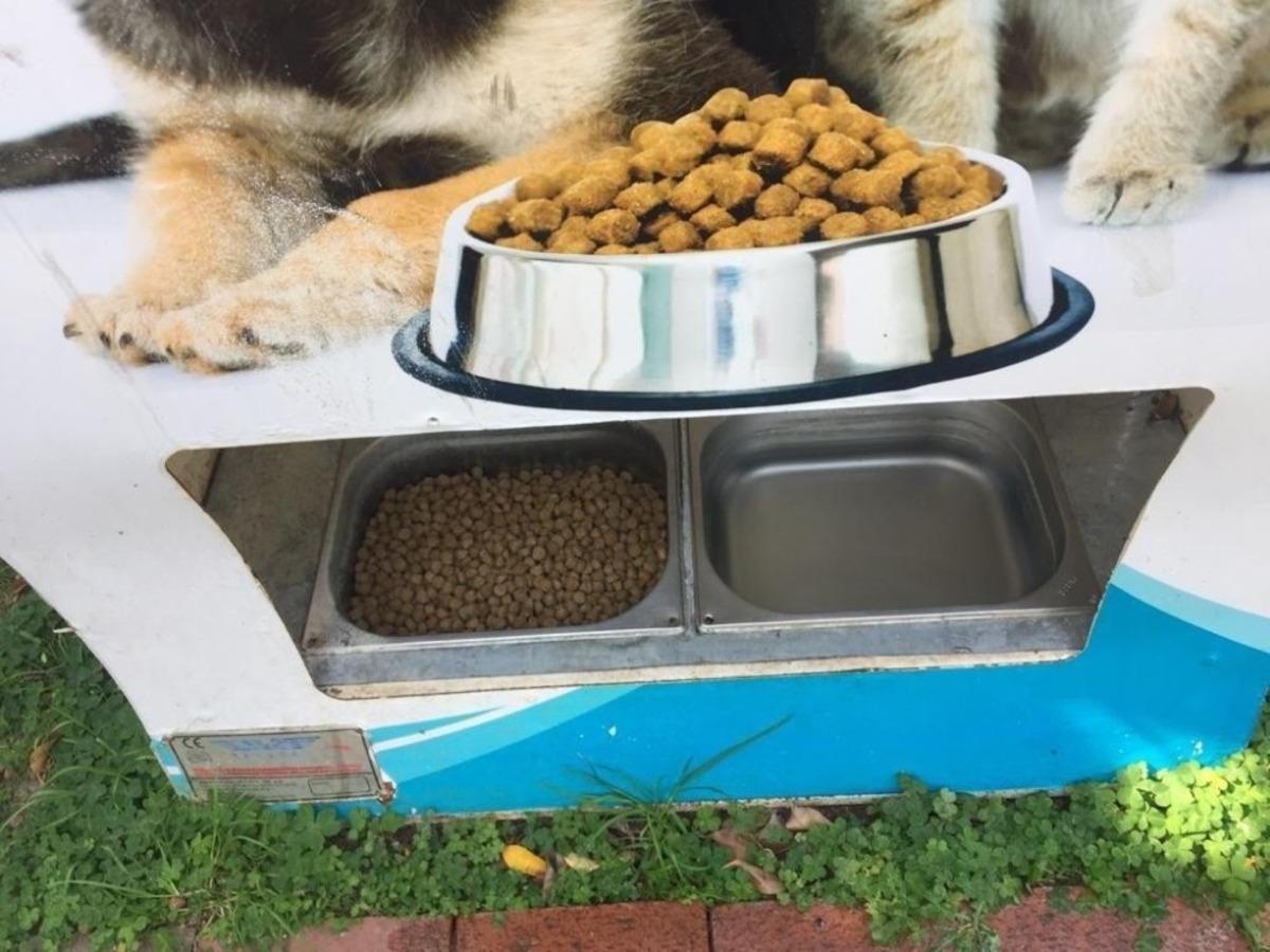 Alanya&rsquo;da sokak hayvanlarına 80 yeni beslenme &uuml;nitesi