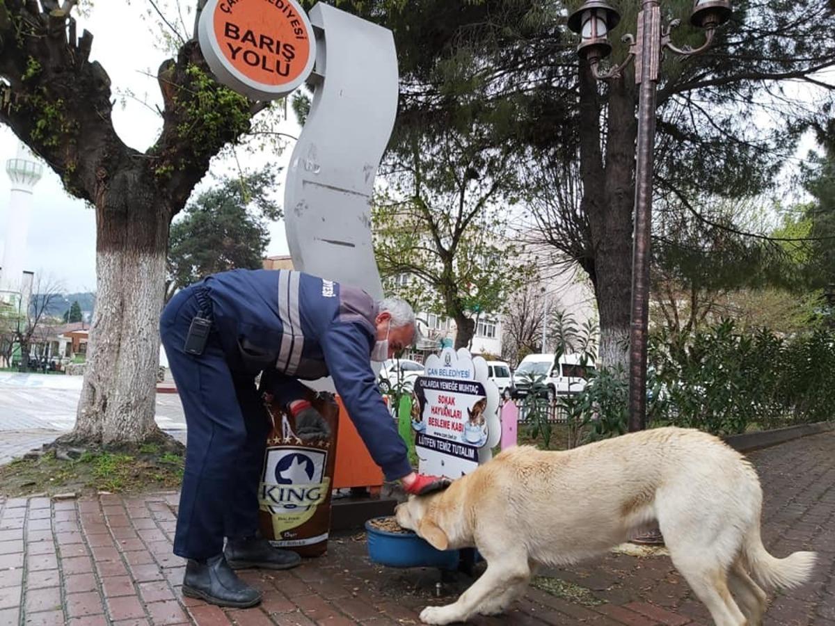 &Ccedil;an Belediyesi sokak hayvanlarını unutmadı