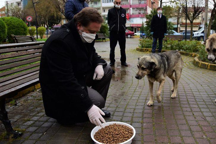 Karesi Dost elini uzatıyor G1
