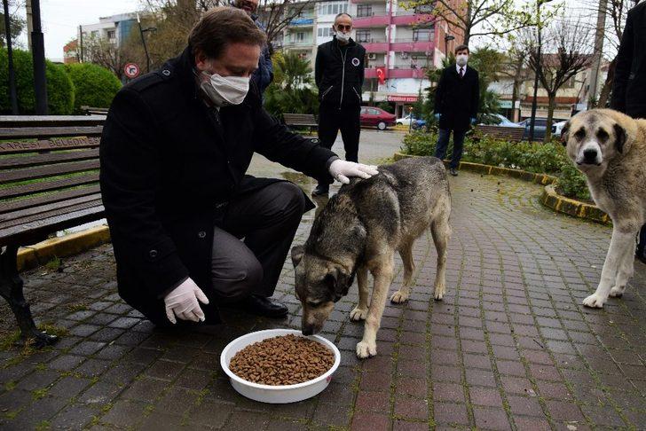 Karesi Dost elini uzatıyor G2