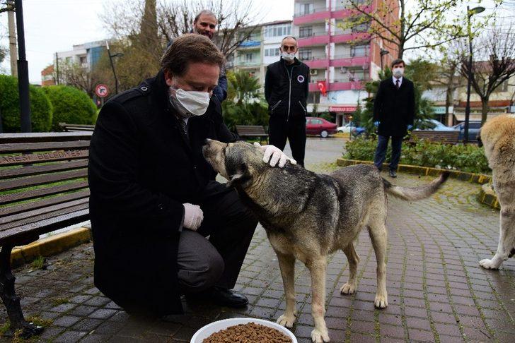 Karesi Dost elini uzatıyor G3