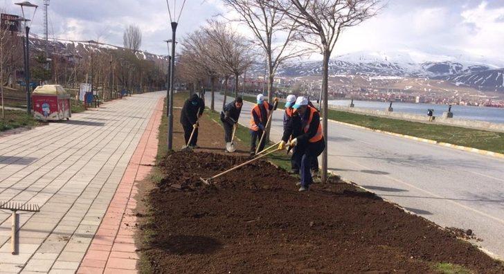 Tatvan Belediyesinden çimlendirme ve ağaç budama çalışması G4