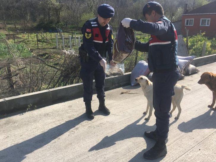 Jandarma sokak hayvanlarını unutmadı G2