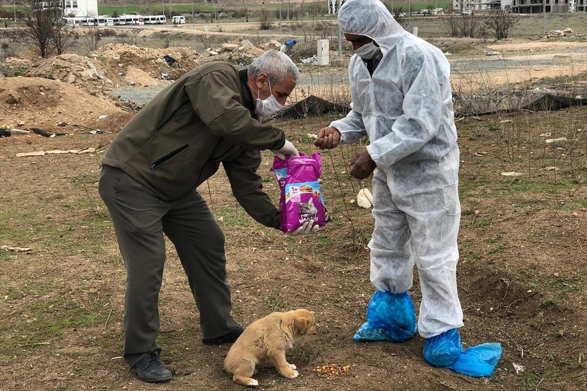 Elazığ Valiliğinden sokak hayvanlarına yem ve mama desteği