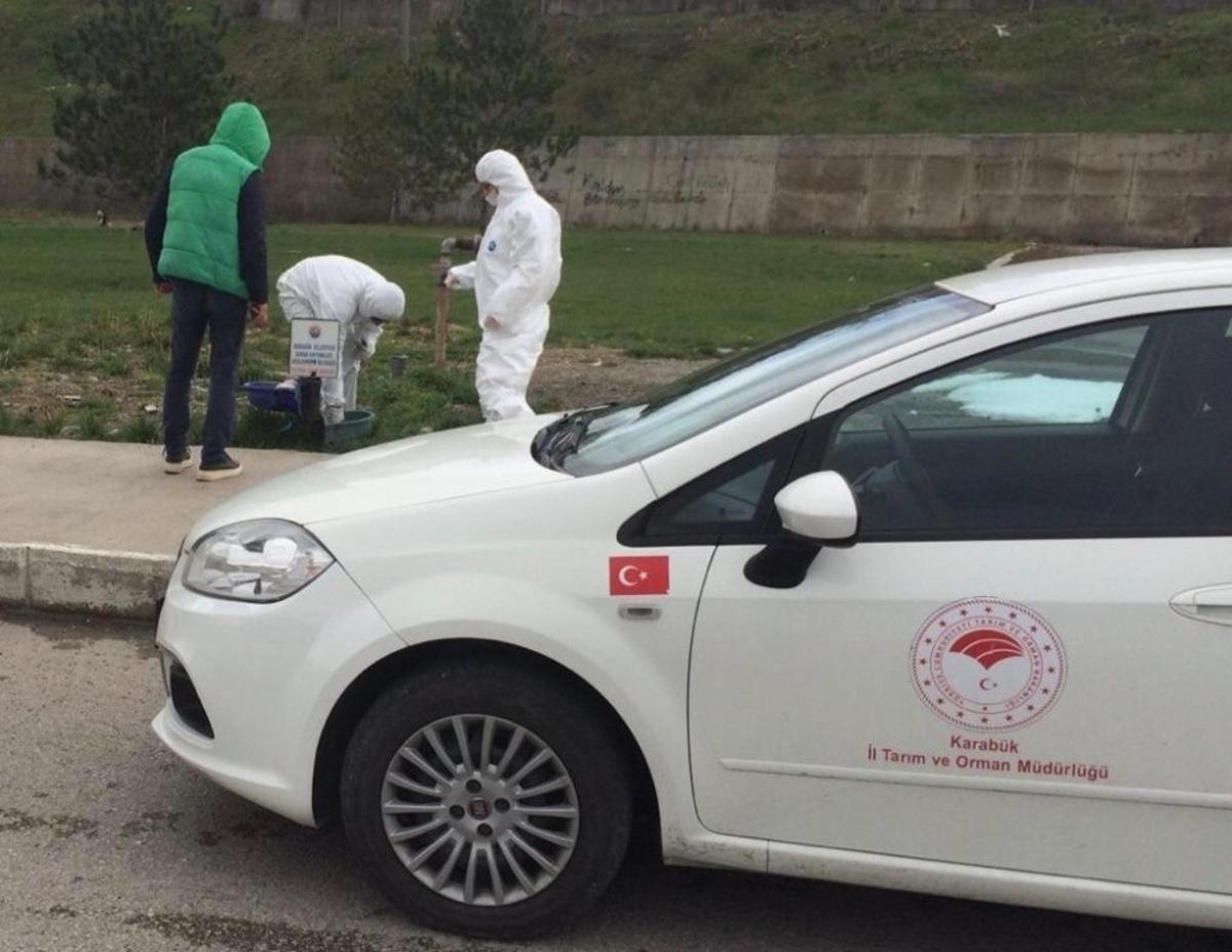 Sokak hayvanları i&ccedil;in yem ve su bırakıldı