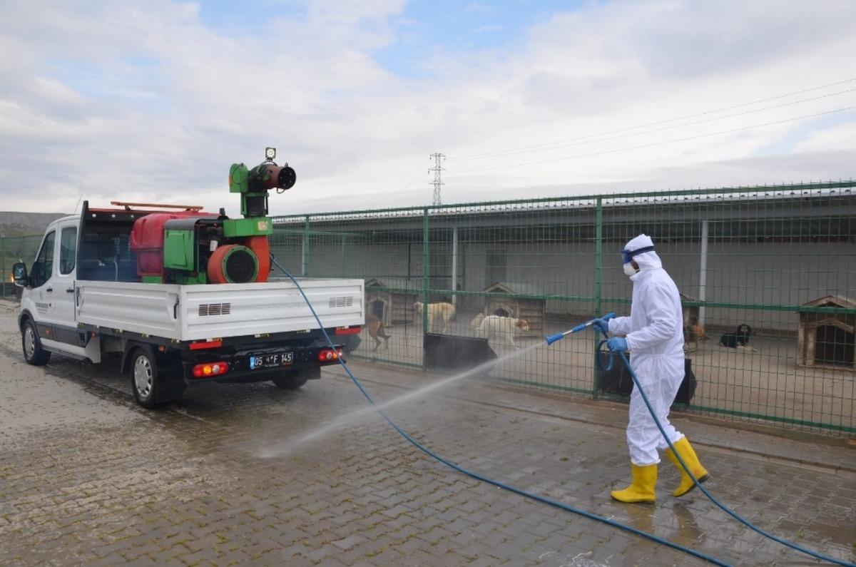 B&ouml;lgenin en b&uuml;y&uuml;k hayvan barınağında dezenfeksiyon işlemi
