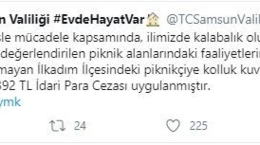 Samsun&rsquo;da piknik&ccedil;iye 392 TL ceza