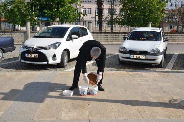 Başkan Karakuş sokak hayvanlarını elleriyle besledi G2