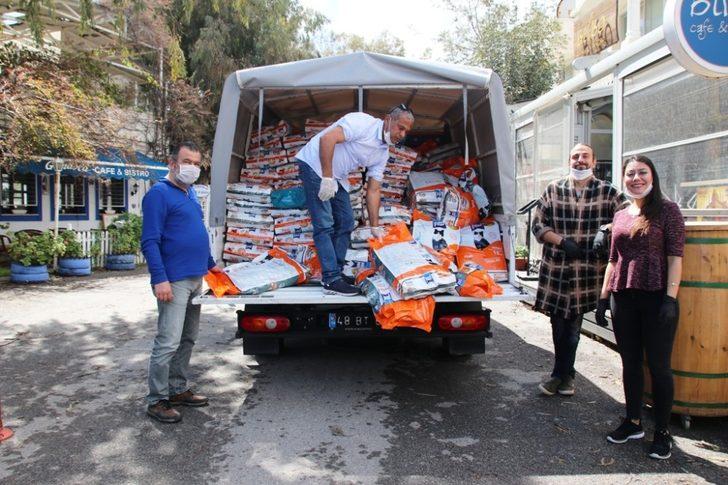 Bodrum’da sokak hayvanlarına 11 bin kilo mama dağıtıldı G4