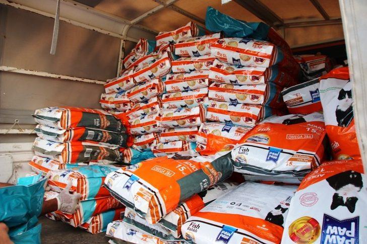 Bodrum’da sokak hayvanlarına 11 bin kilo mama dağıtıldı G5