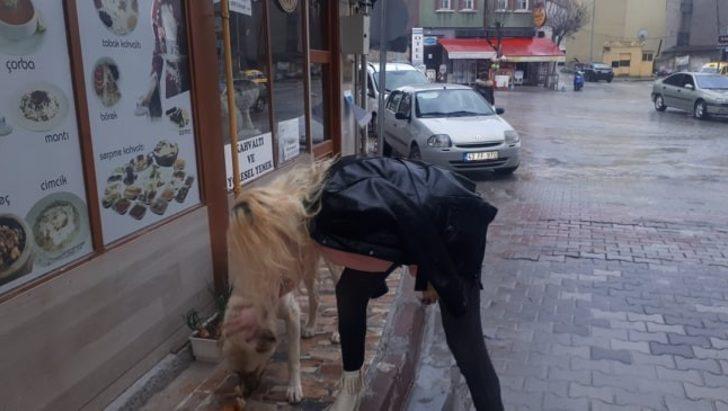 Polisler sokak hayvanlarını elleriyle besledi G3