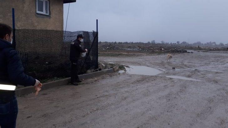 Polisler sokak hayvanlarını elleriyle besledi G4