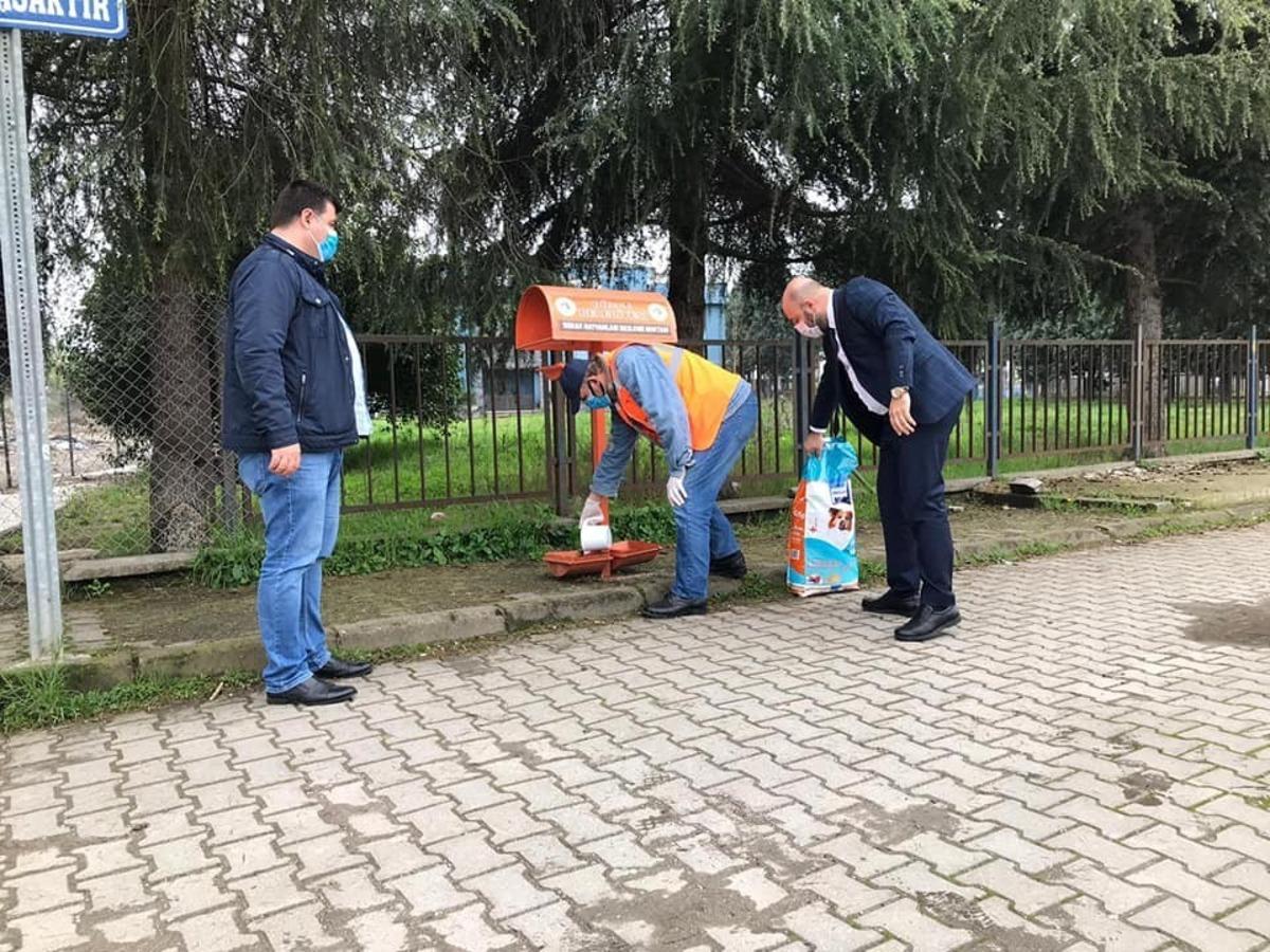 Sokak hayvanlarına d&uuml;zenli mama ve su veriliyor