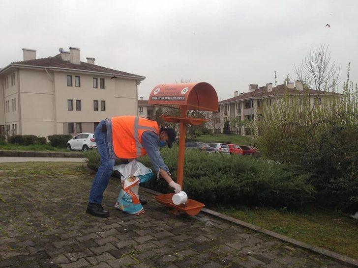 Sokak hayvanlarına düzenli mama ve su veriliyor G3