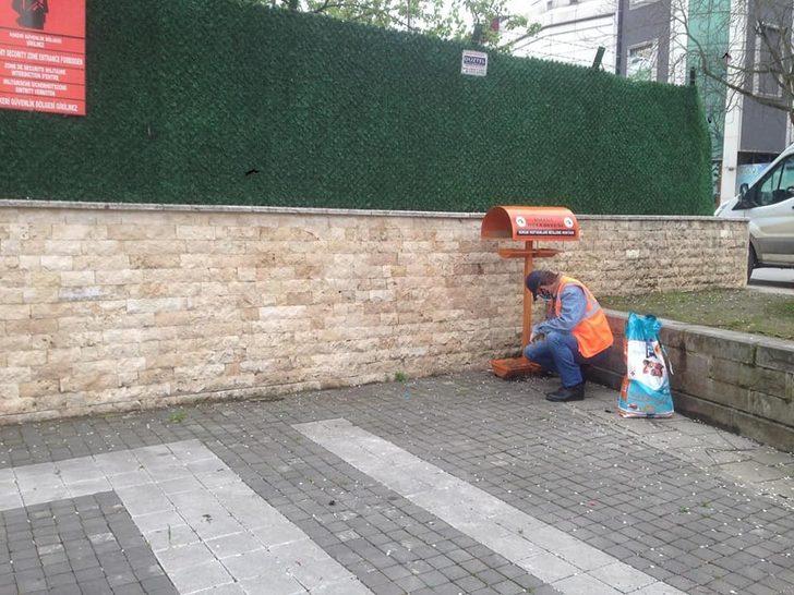 Sokak hayvanlarına düzenli mama ve su veriliyor G4