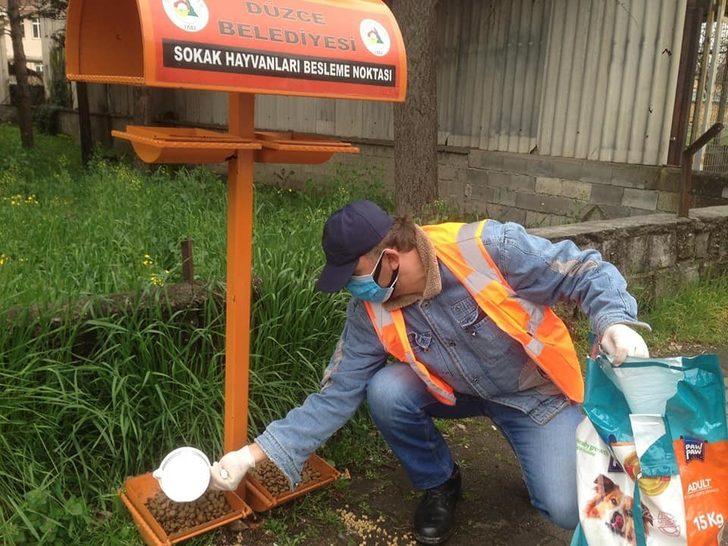 Sokak hayvanlarına düzenli mama ve su veriliyor G5