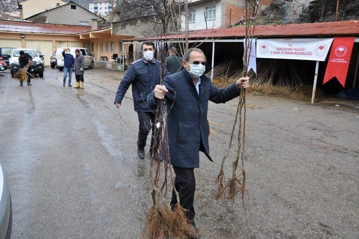Gümüşhane’de 65 yaş üzeri çiftçilerin fidanları evlerine götürüldü G1