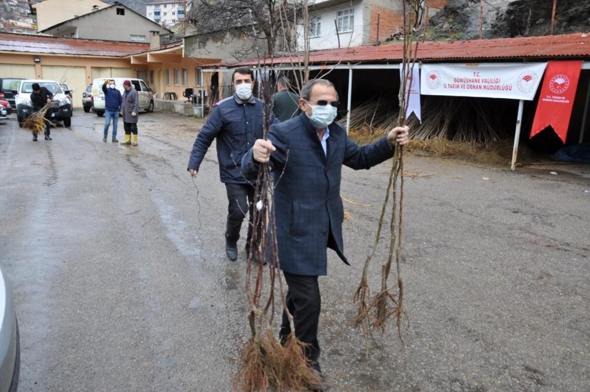 G&uuml;m&uuml;şhane&rsquo;de 65 yaş &uuml;zeri &ccedil;ift&ccedil;ilerin fidanları evlerine g&ouml;t&uuml;r&uuml;ld&uuml;
