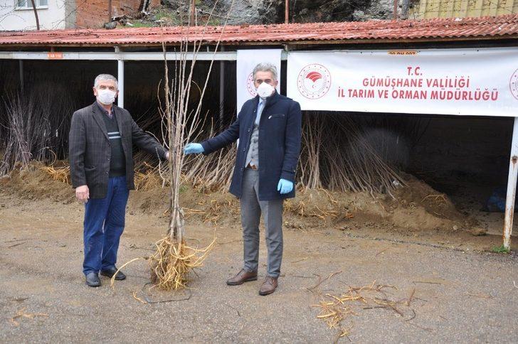 Gümüşhane’de 65 yaş üzeri çiftçilerin fidanları evlerine götürüldü G2