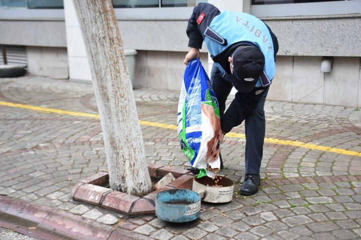 İncirliova Belediyesi can dostlar için mama bırakıyor G2