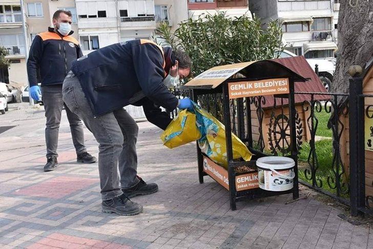 Gemlik’de mama kapları uygun alanlara yerleştiriliyor G2