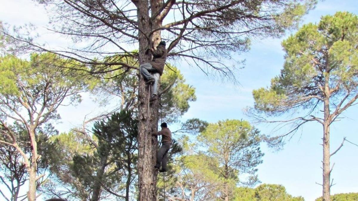 &Ouml;l&uuml;m riskiyle i&ccedil; i&ccedil;e yaşayan kozalak emek&ccedil;ilerine teknik destek verilmeli