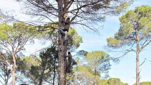 Ölüm riskiyle iç içe yaşayan kozalak emekçilerine teknik destek verilmeli