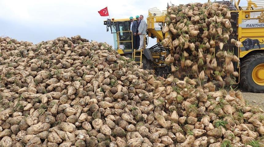 Sivas şeker pancarı &uuml;retiminde 6&rsquo;ncı sırada