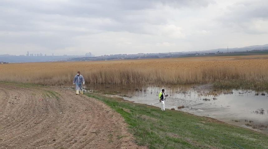 G&ouml;lbaşı Belediyesinden b&ouml;ceklere karşı ila&ccedil;lama