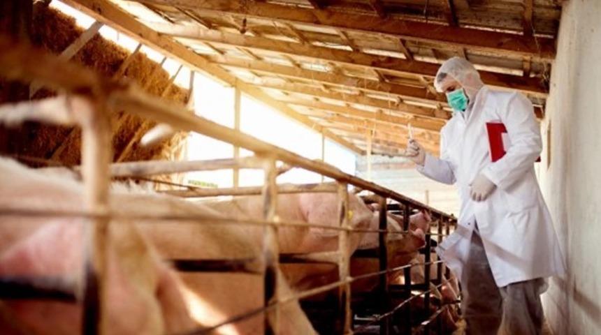 Çin’de ikinci bir virüs salgını mı var?