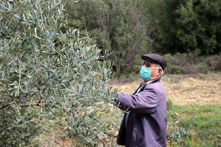 Büyükşehir üreticiyi unutmadı G3