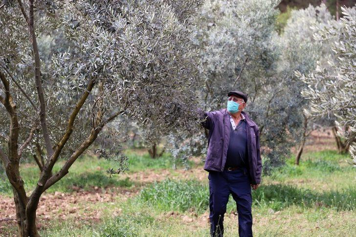 Büyükşehir üreticiyi unutmadı G4