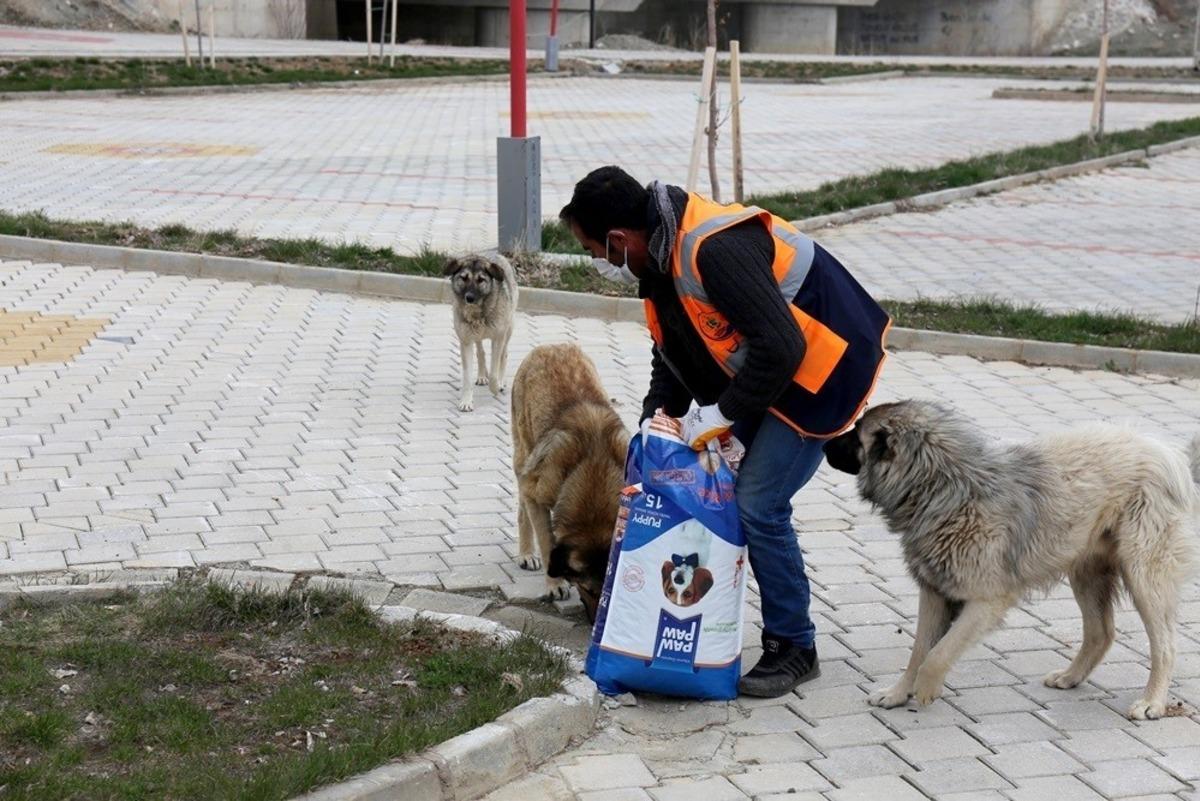 G&uuml;rpınar Belediyesi sokak hayvanlarını yalnız bırakmadı