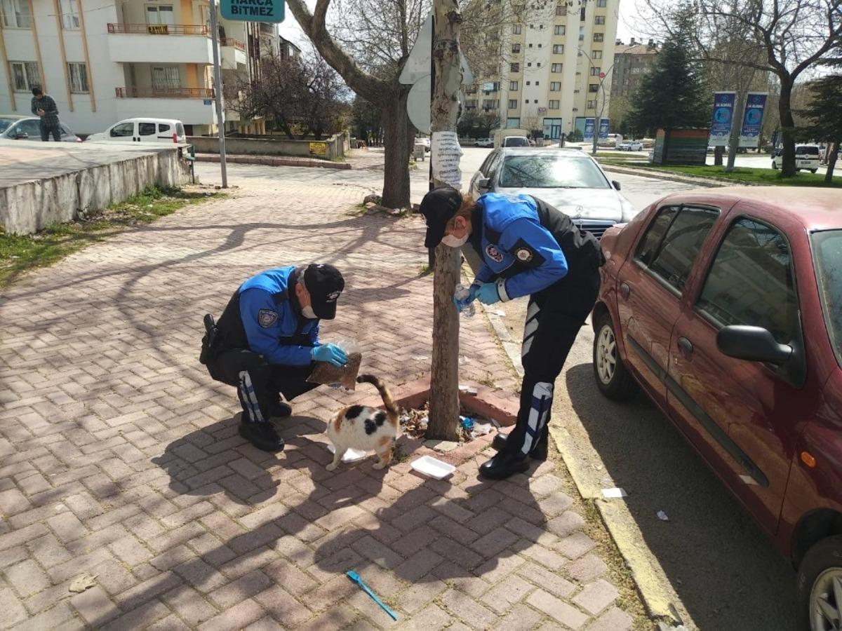 Elazığ polisi, sokak hayvanları i&ccedil;in g&ouml;revde