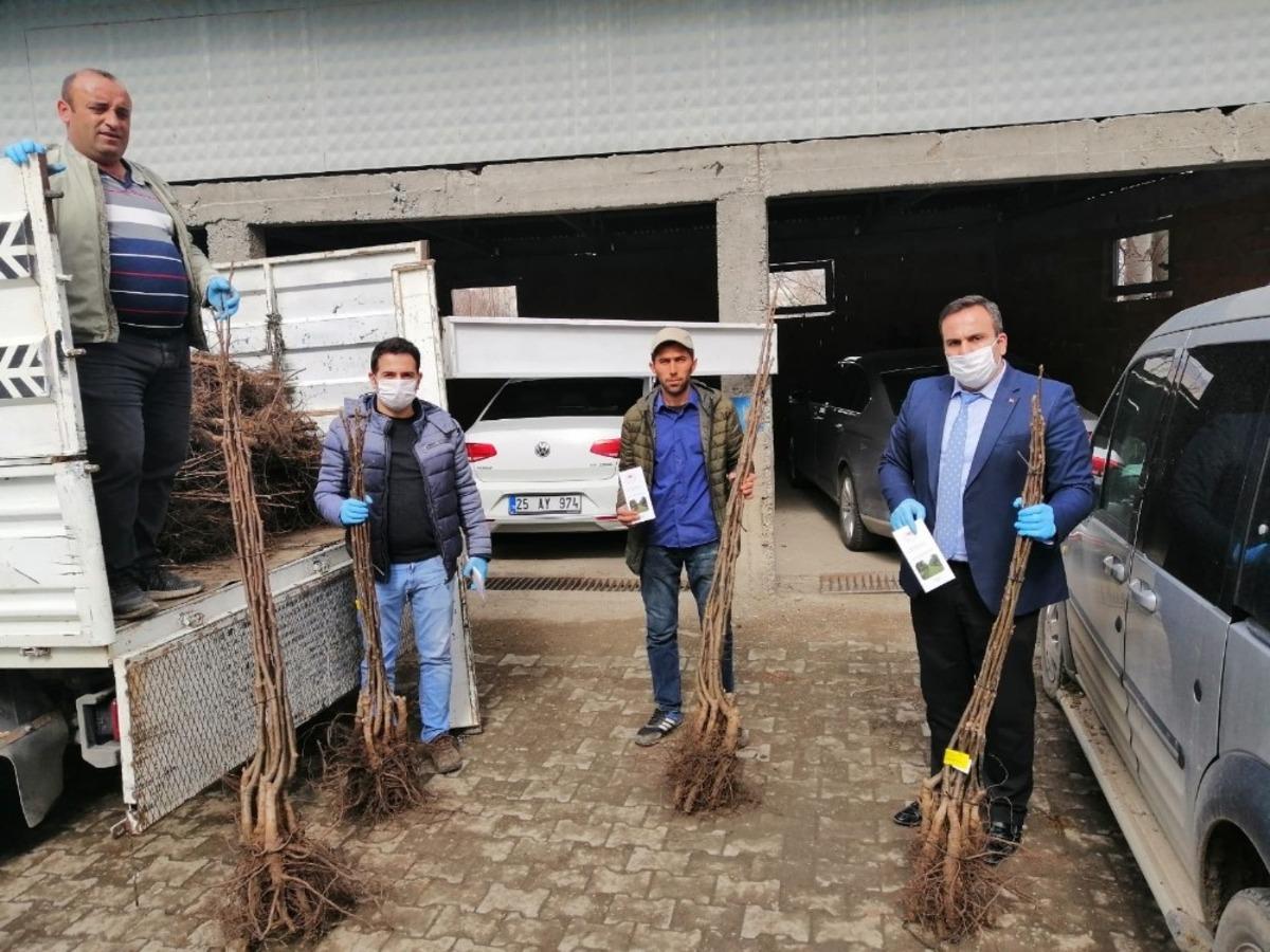 Erzurum&rsquo;da 1293 &ccedil;ift&ccedil;iye &lsquo;Yazlık Buğday Tohumu&rsquo; desteği yapıldı