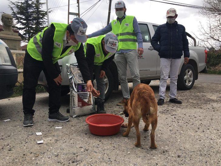 Niğde sokak hayvanlarına 5 ton mama dağıtıldı G3