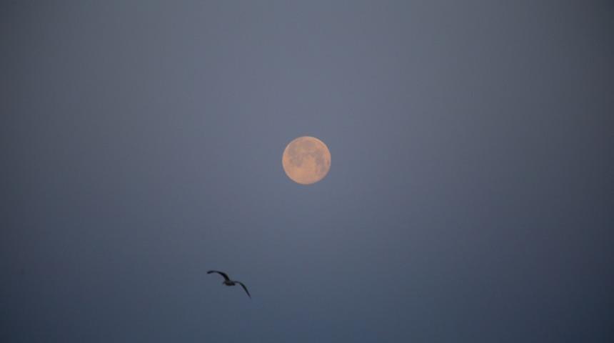 Hatay'da g&ouml;r&uuml;nt&uuml;lendi! Kartpostallık manzara