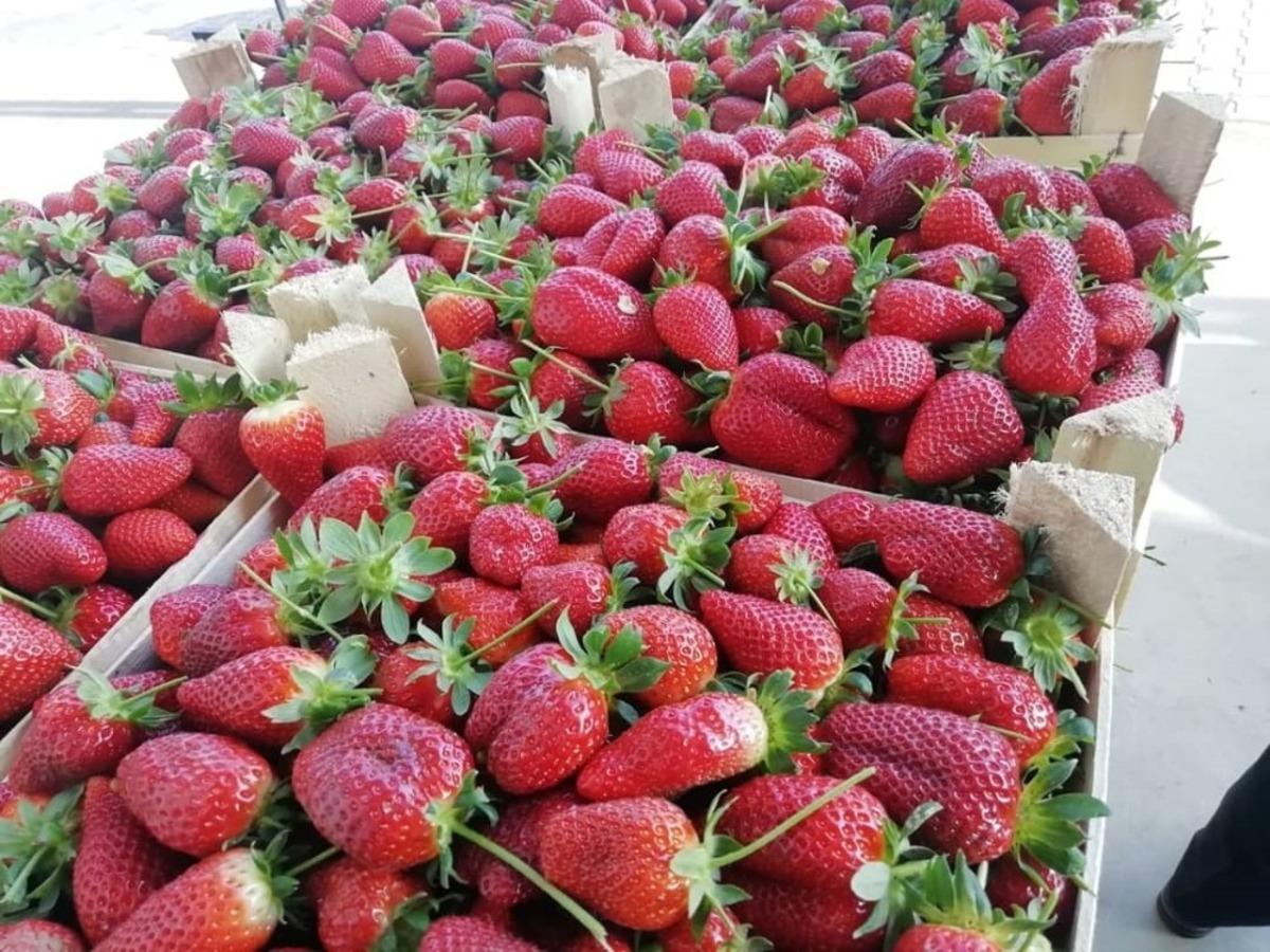 Aydın&rsquo;da &ccedil;ilek &uuml;reticilerinin sorunları &ccedil;&ouml;z&uuml;lecek