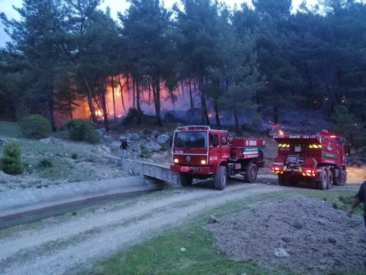 Muğla’da orman yangınları erken başladı G1