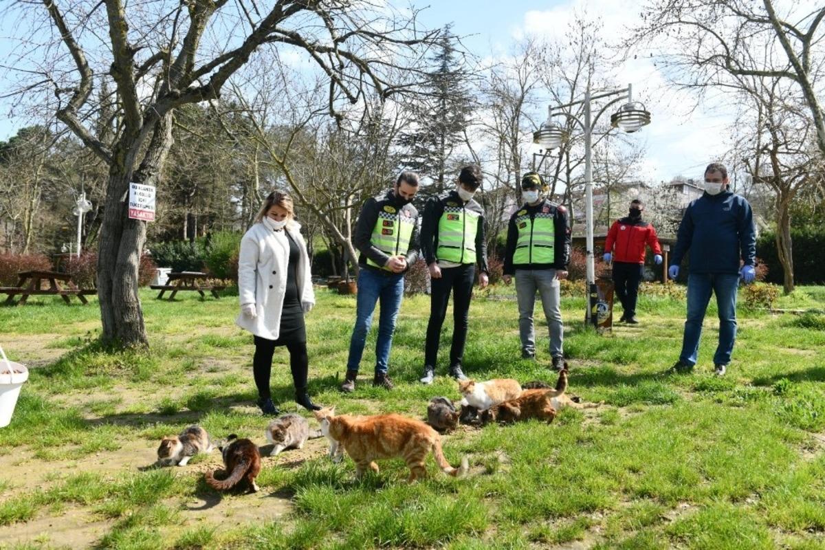 Mustafakemalpaşa&rsquo;da sokak hayvanları unutulmadı