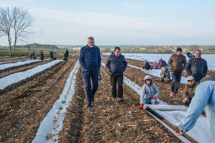 Bursa’da erkenci karpuz ekimi yapıldı G3
