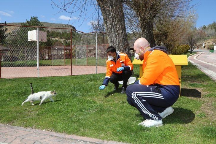 Sivas Belediyesi sokak hayvanlarını unutmadı G1
