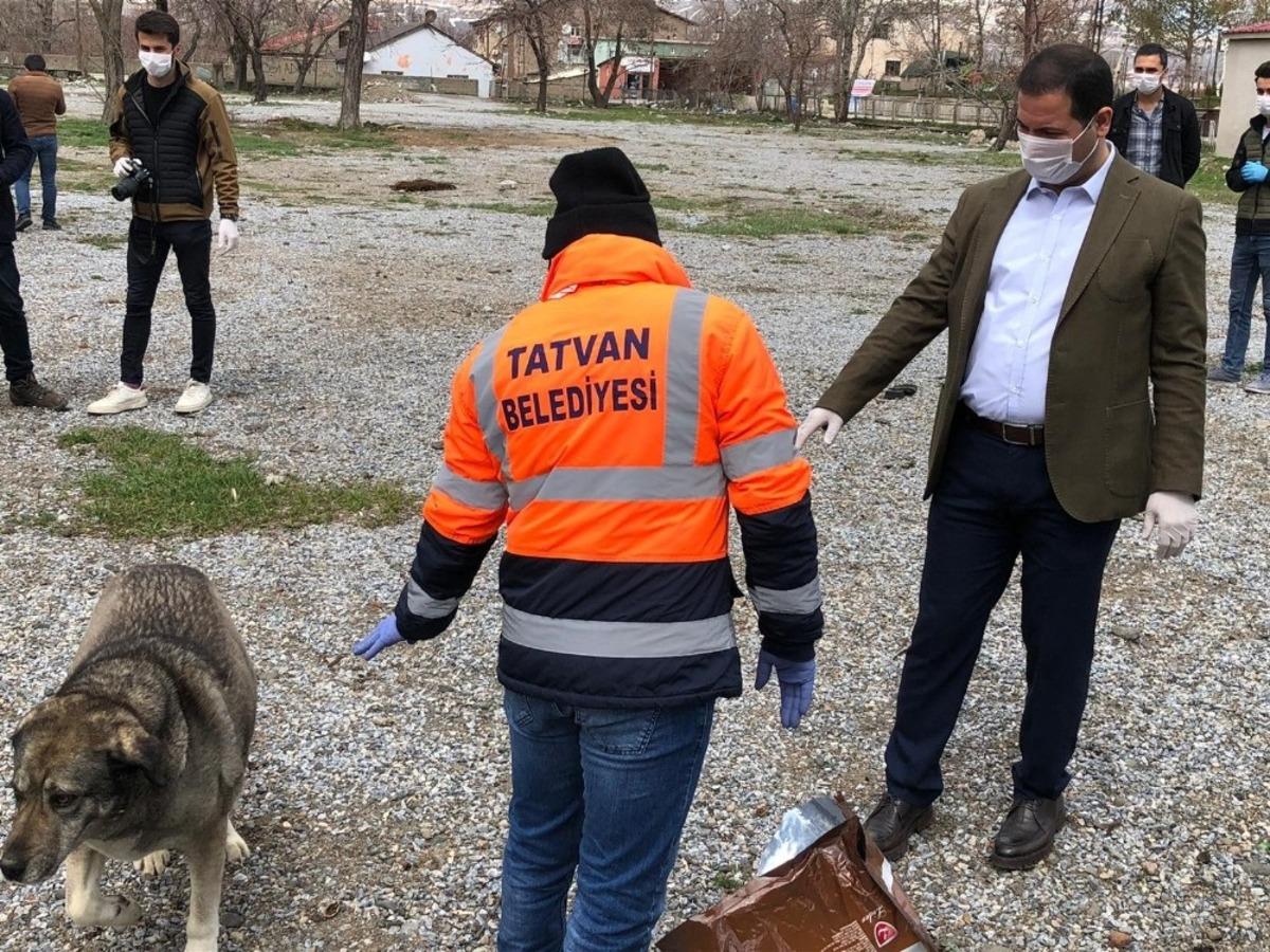 Tatvan&rsquo;da sokak hayvanları i&ccedil;in doğaya yiyecek bırakıldı
