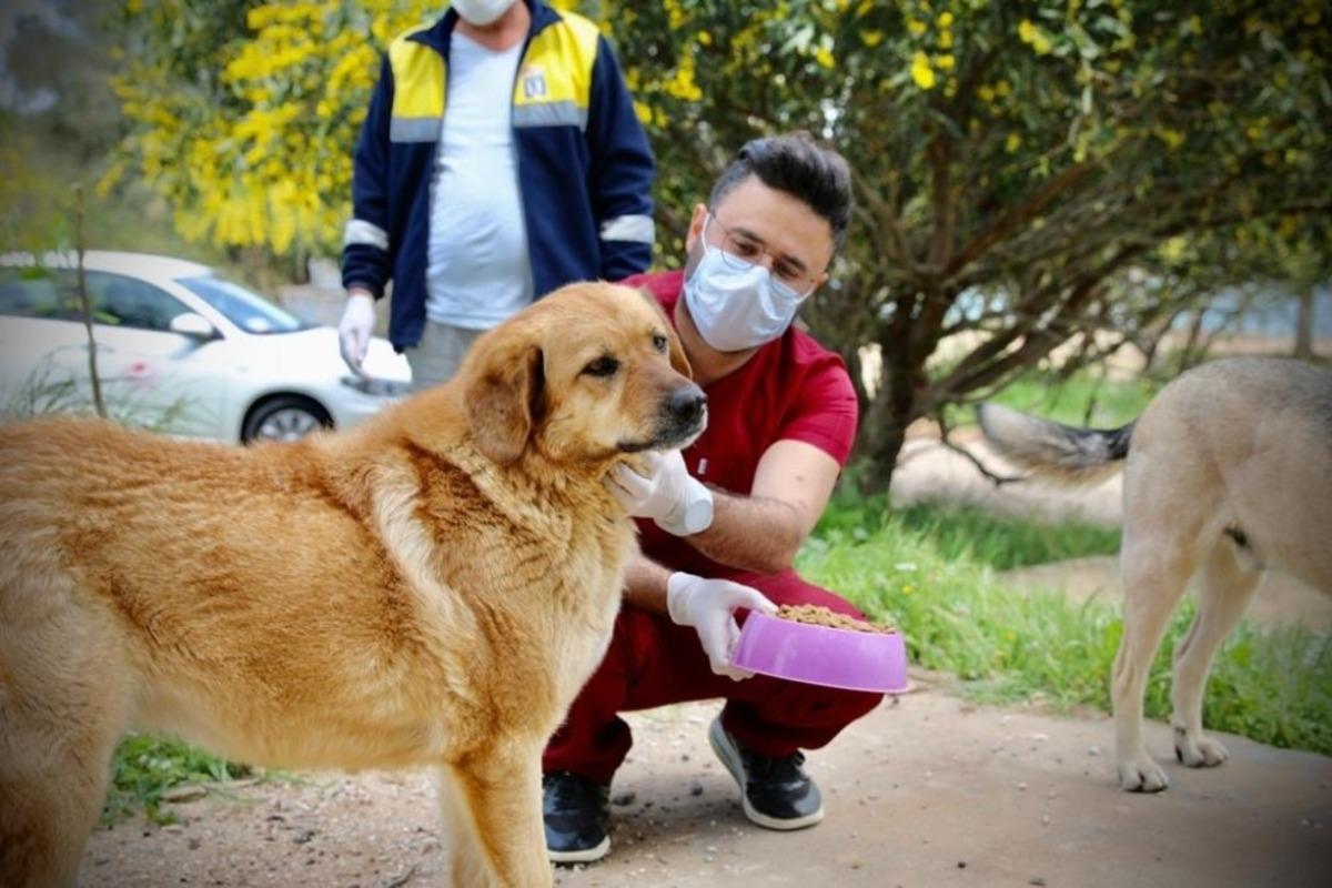 Didim&rsquo;de sokak hayvanlarına karşı duyarsız kalınmadı.